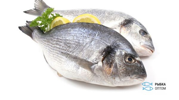Рыбка для Афродиты, или «морской карась» (дорадо) для щитовидной железы