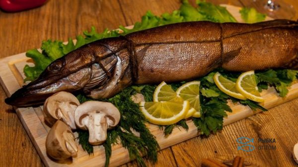 Кушать подано - самые популярные сорта рыбы в ресторанных меню